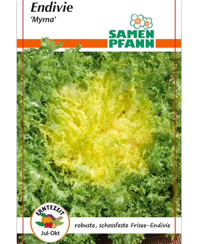 Salat Sommerendivie Myrna - Produktbild 1
