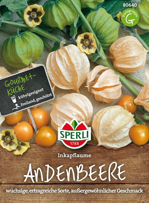 Andenbeere, Physalis peruviana