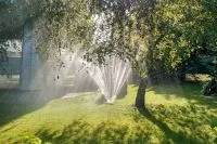 Automatischer Rasensprenger bewässert sonnige Grünfläche