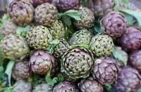 Mehrere grün-violette Artischockenknospen dicht aneinanderliegend in Nahaufnahme