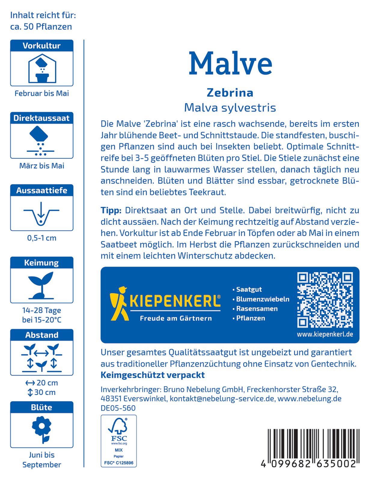 Malve sylvestris Zebrina rosa gestreift - Produktbild 2