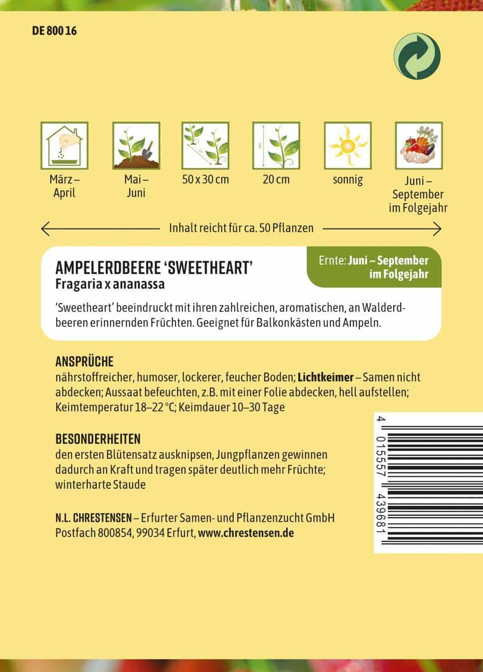 Erdbeere Sweetheart - Ampelerdbeere - Produktbild 2