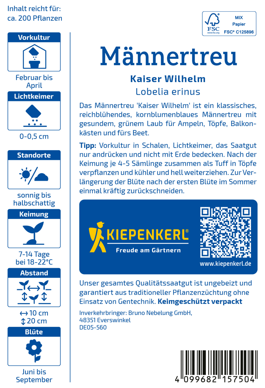 Lobelia compacta Kaiser Wilhelm - Produktbild 2