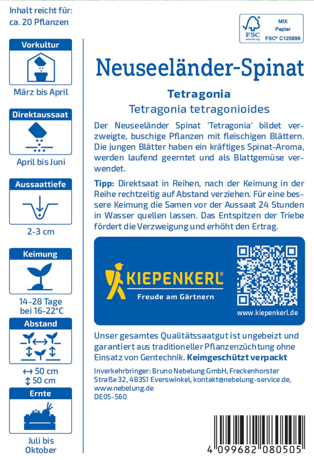 Spinat, Neuseeländer Sommerspinat - Produktbild 2