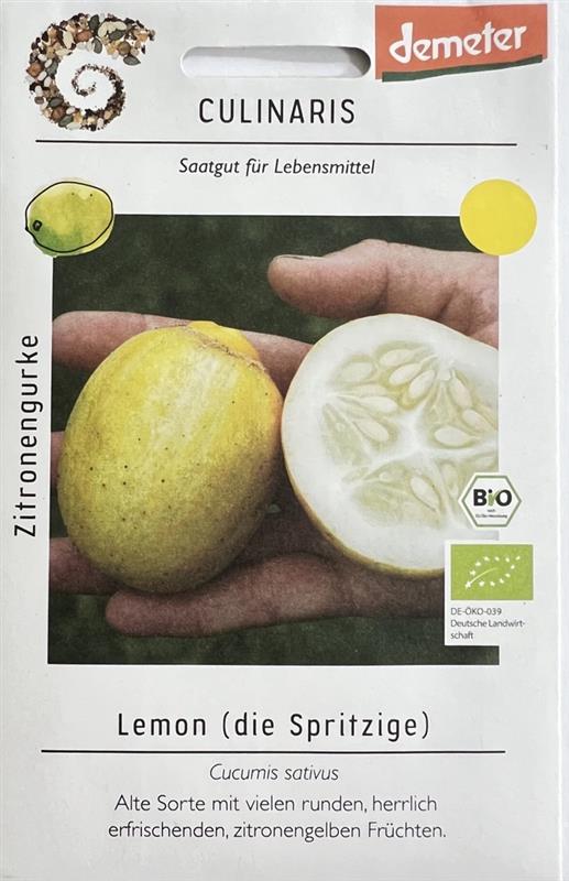 Bio Zitronengurke
