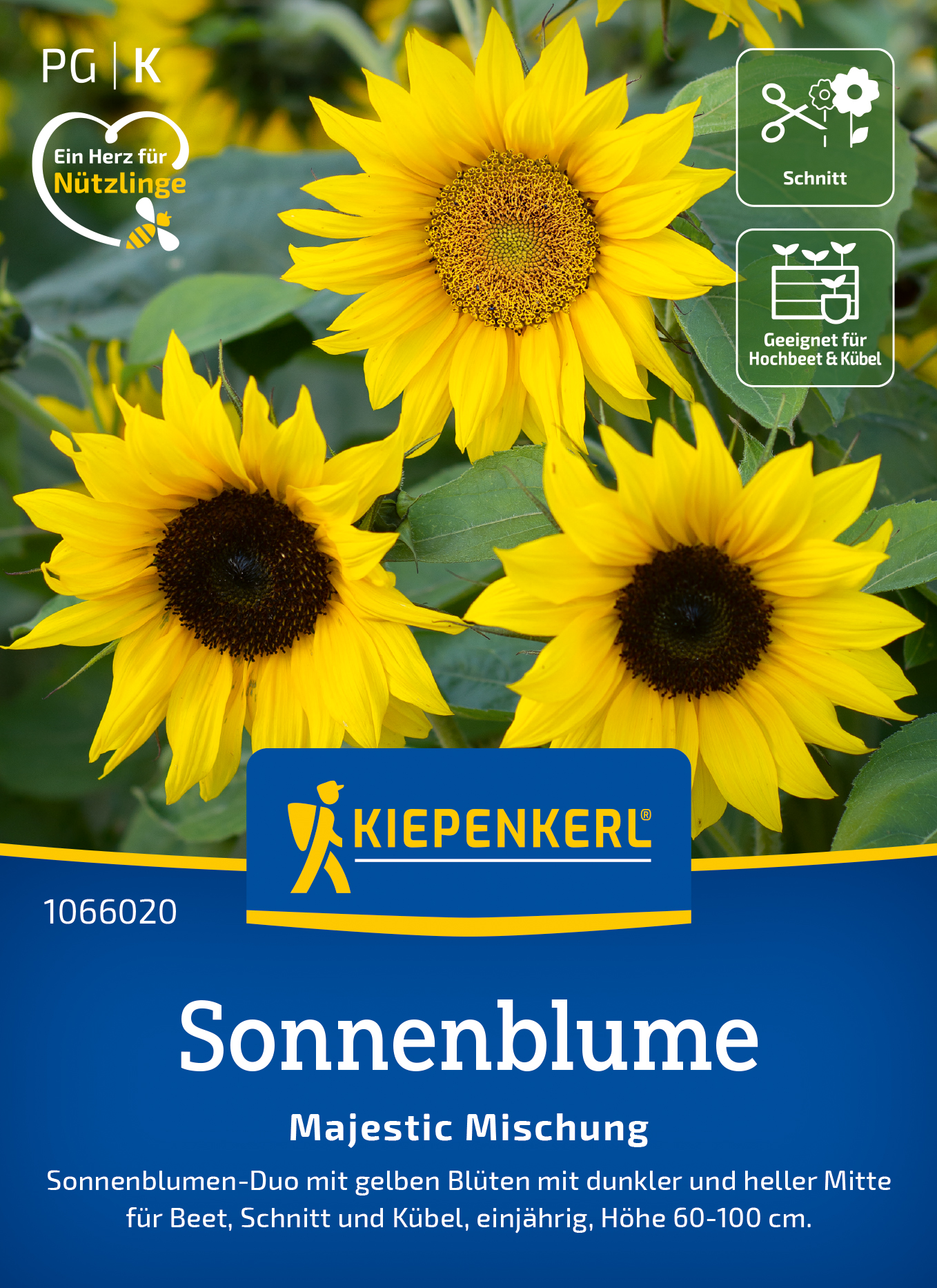 Helianthus annuus Majestic Mix