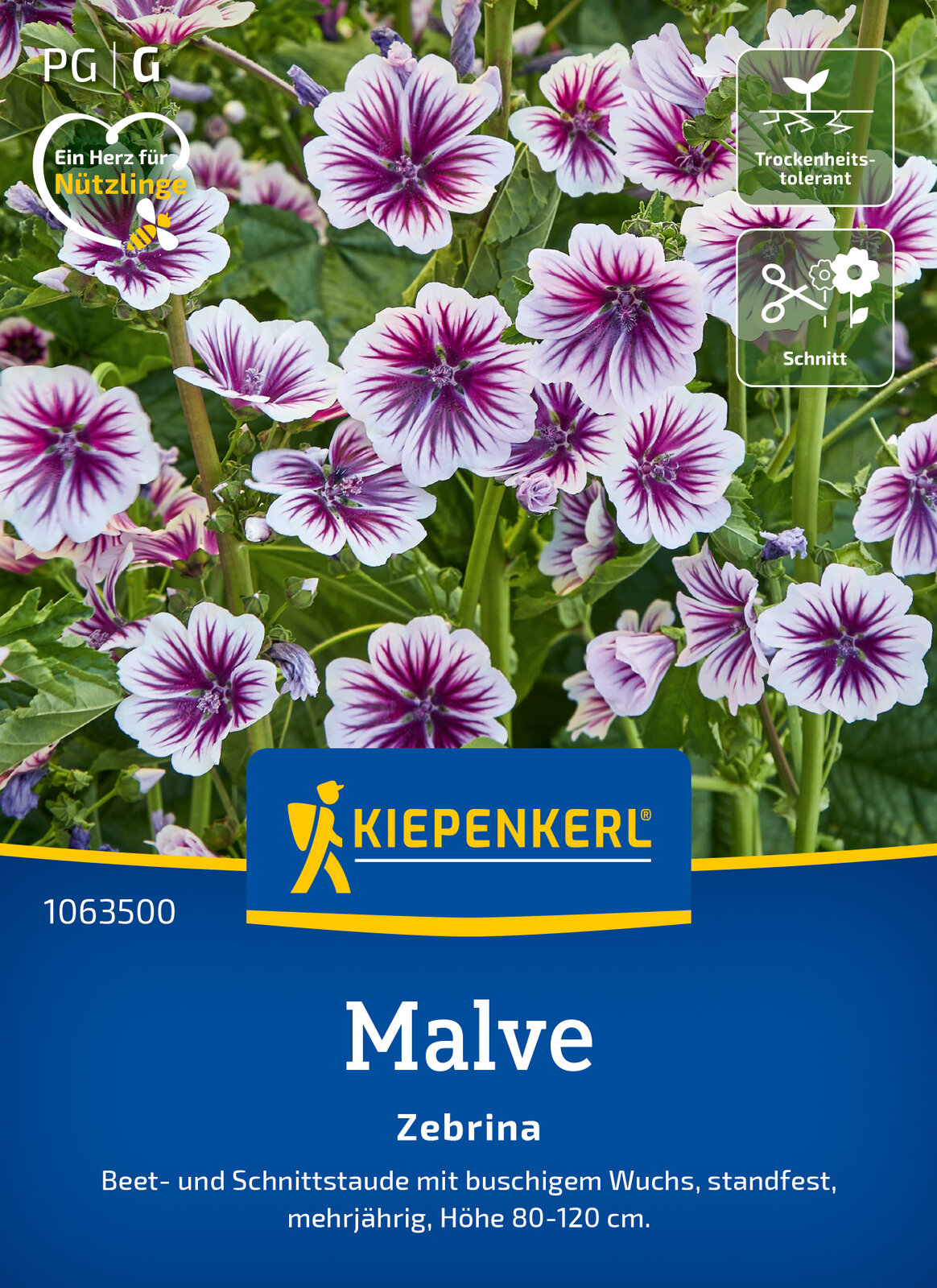 Rosspappel, Käsepappel, wilde Malve Zebrina