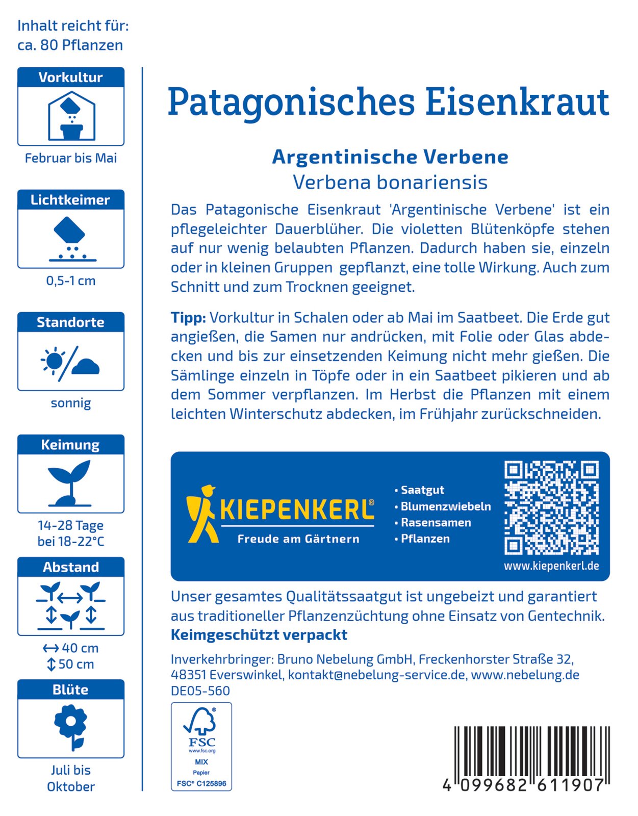 Verbena bonariensis, Eisenkraut - Produktbild 2