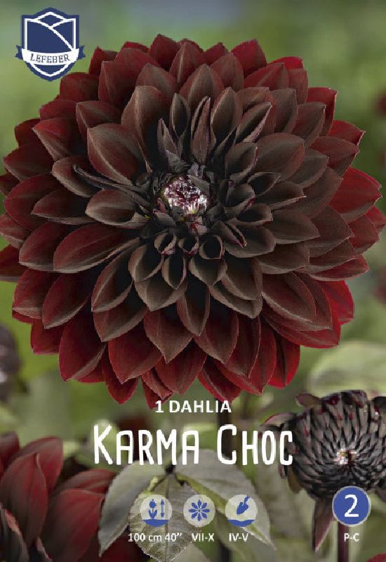 Dahlie Schmuck Karma Choc