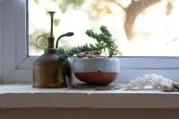 Pflanzensprüher und Sukkulente auf heller Fensterbank