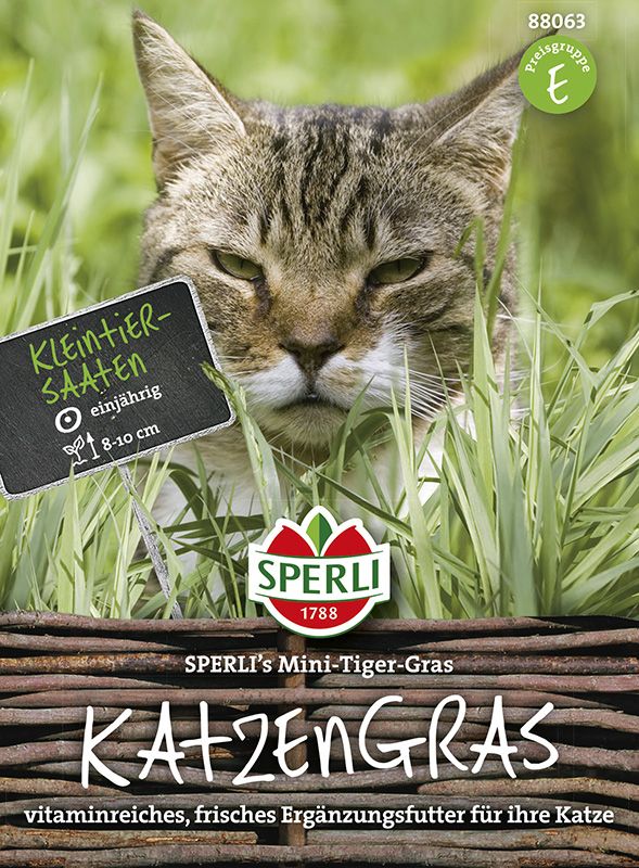 Katzengras 80% Hafer 30g