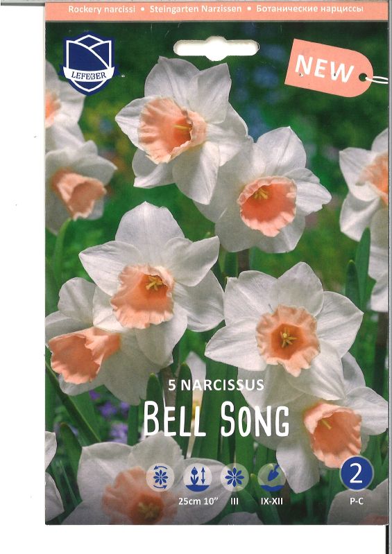 Narzisse Bell Song 12/14