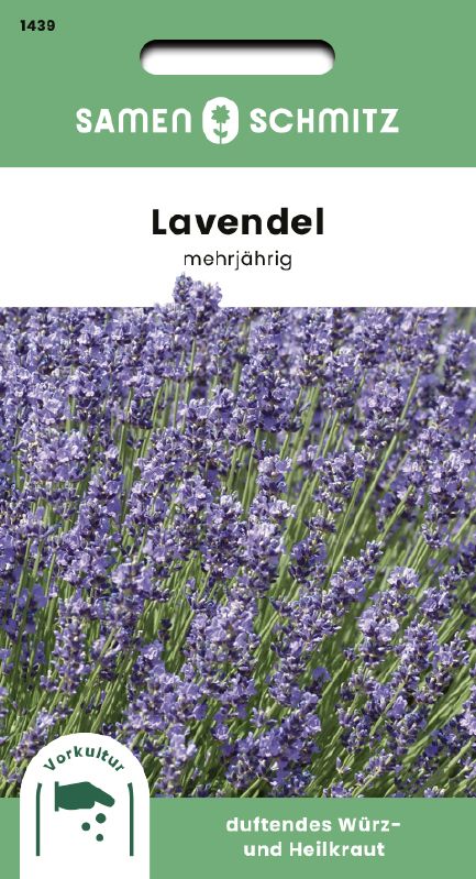 Lavendel, mehrjährig