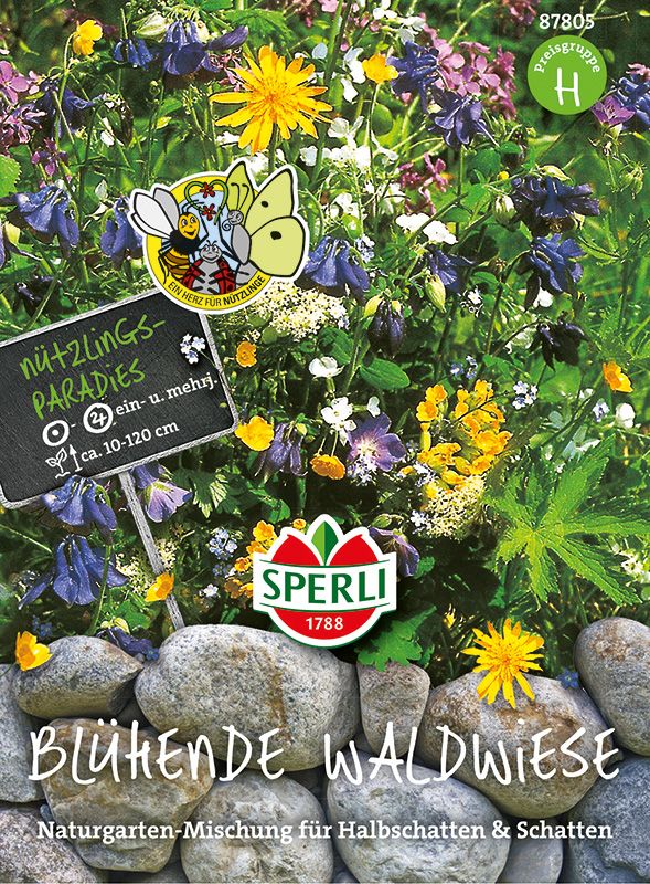 Blumenmischung Blühende Waldwiese