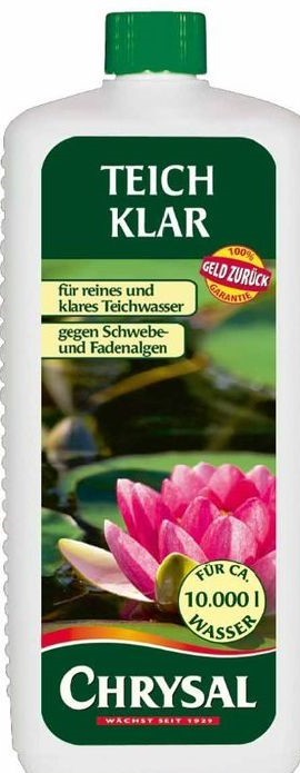 Teich Klar