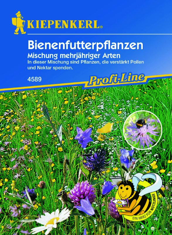 Blumenm. Bienenfutterpflanzen Mehrjährig