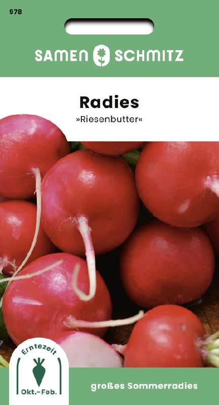 Radies Riesenbutter