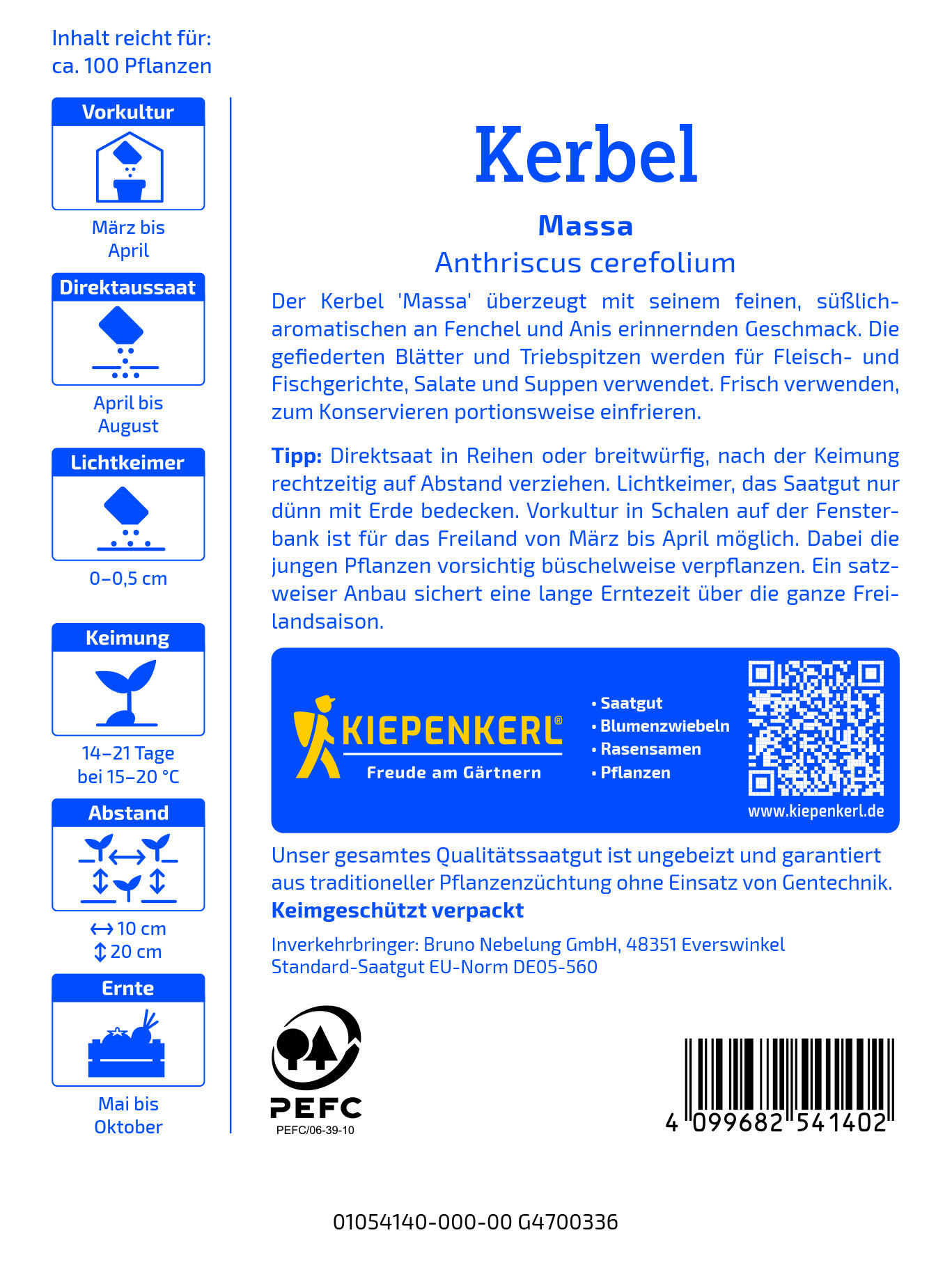 Kerbel Commun, einjährig - Produktbild 2
