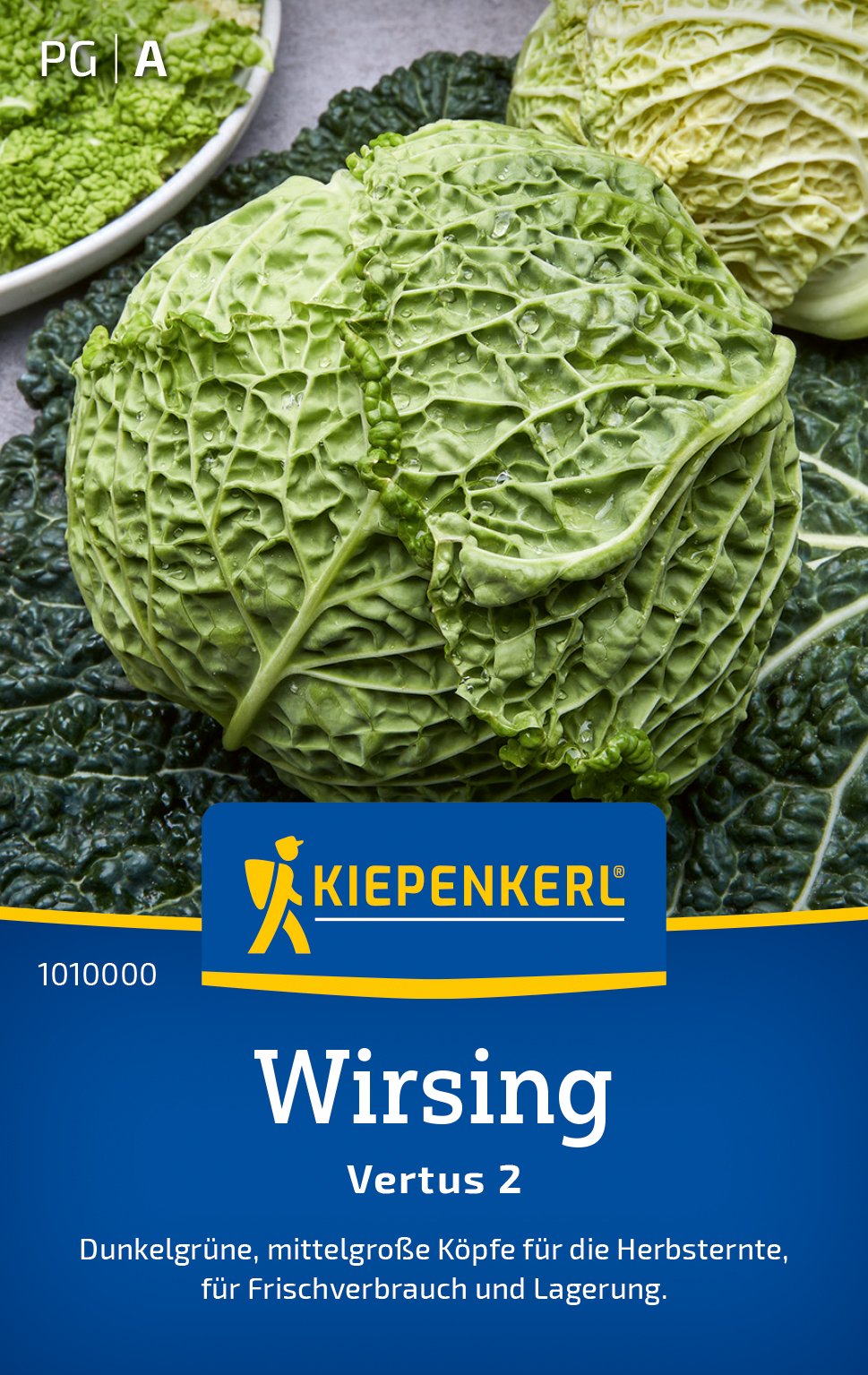 Wirsching, Wirsing, Wirsingkohl Vertus 2