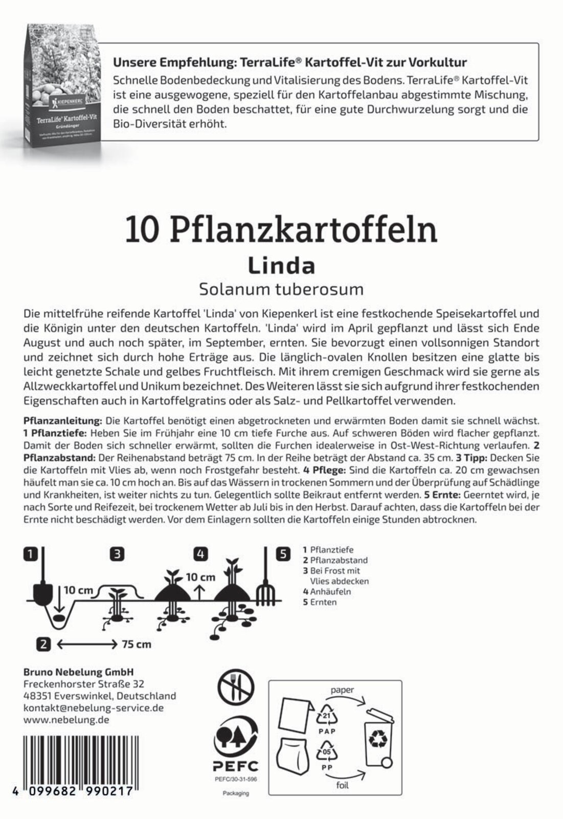 Pflanzkartoffel Linda - Produktbild 2
