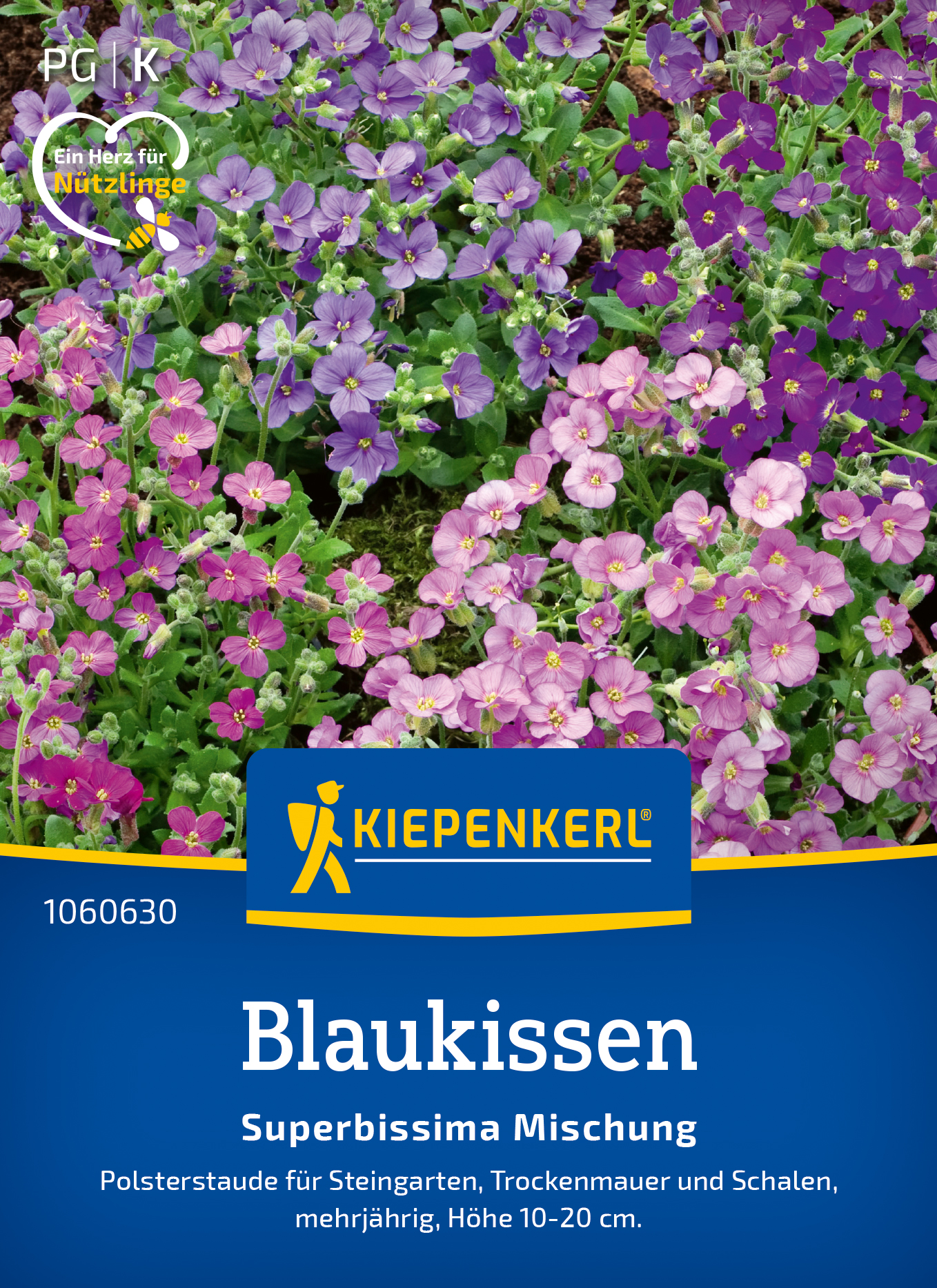 Aubrieta Superbissima Elite - Produktbild 1