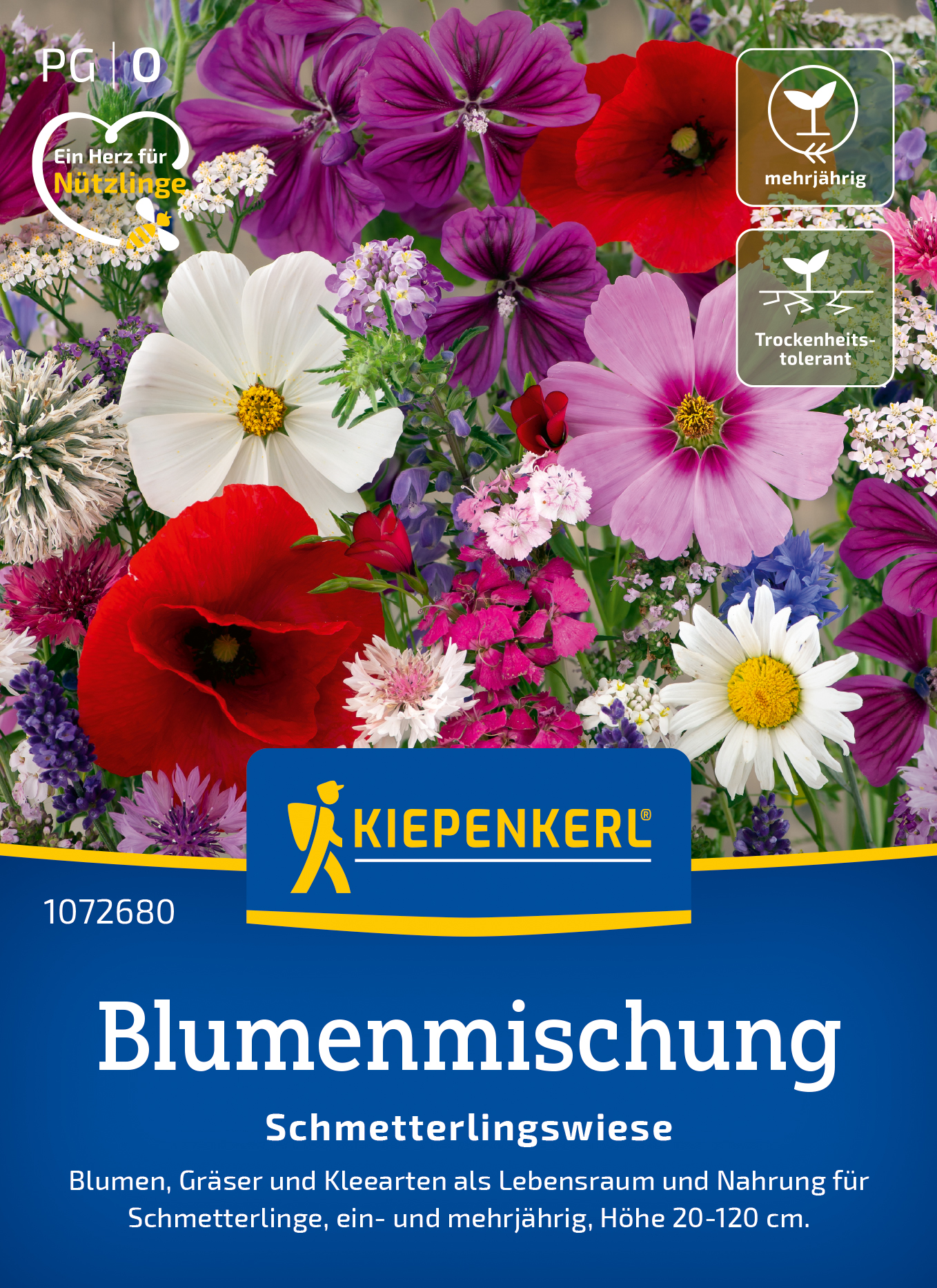 Schmetterlingswiese ein- und Mehrjährig