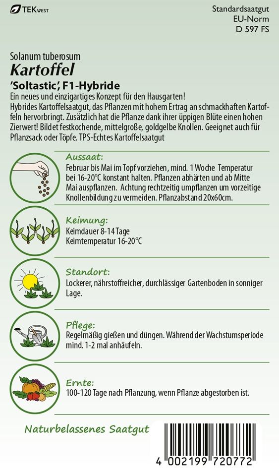 Kartoffel Soltastic F1 Samen - Produktbild 2