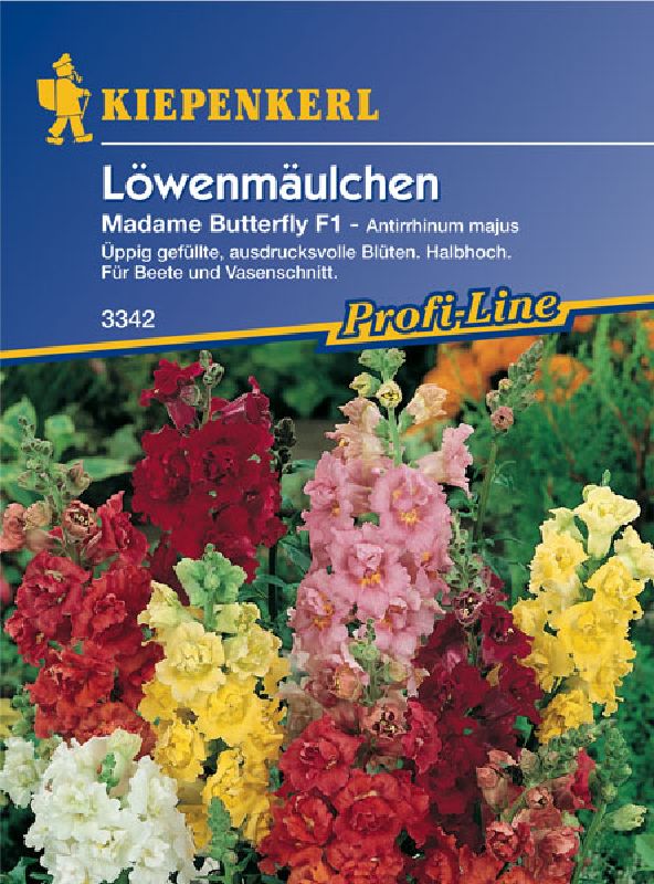 Antirrhinum majus, Serenade F2 - Produktbild 1