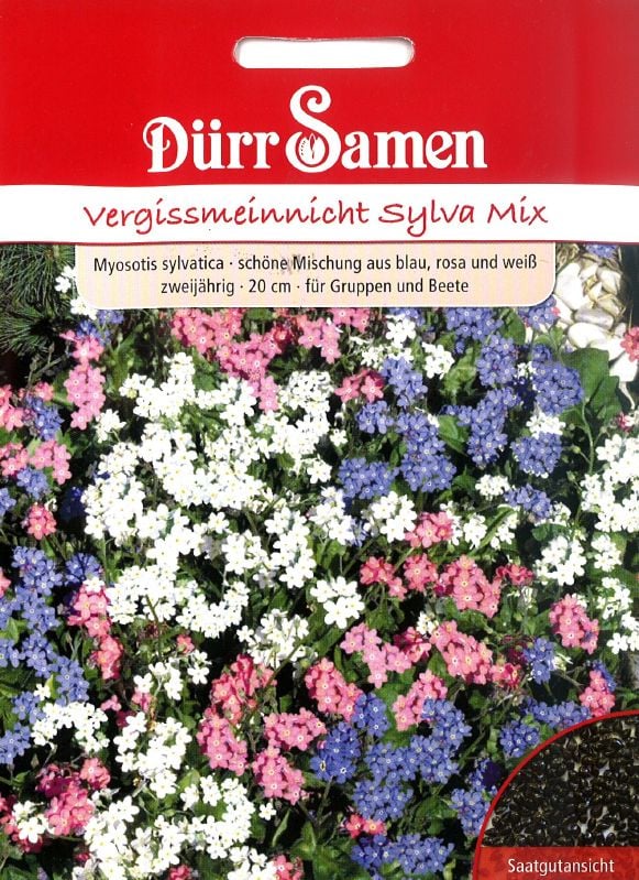 Myosotis sylvatica Sylva Mix - Produktbild 1