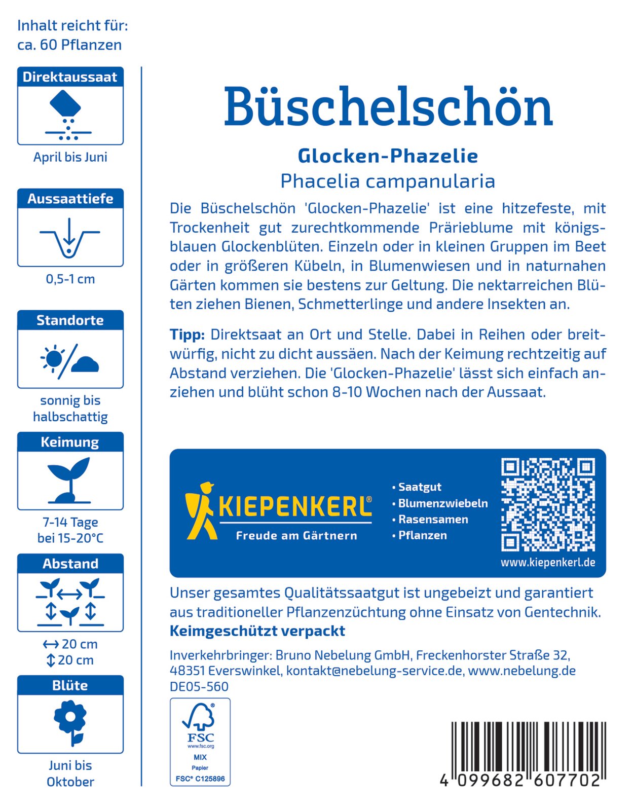 Büschelschön - Produktbild 2