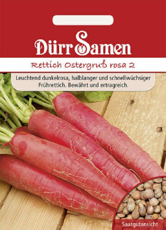 Rettich Ostergruß rosa 2 /Frühlingsgruß