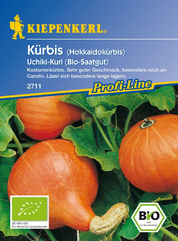 Bio Kürbis Hokkaido F1