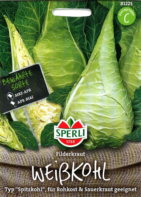 Kohl - Filderkraut, Spitzkohl