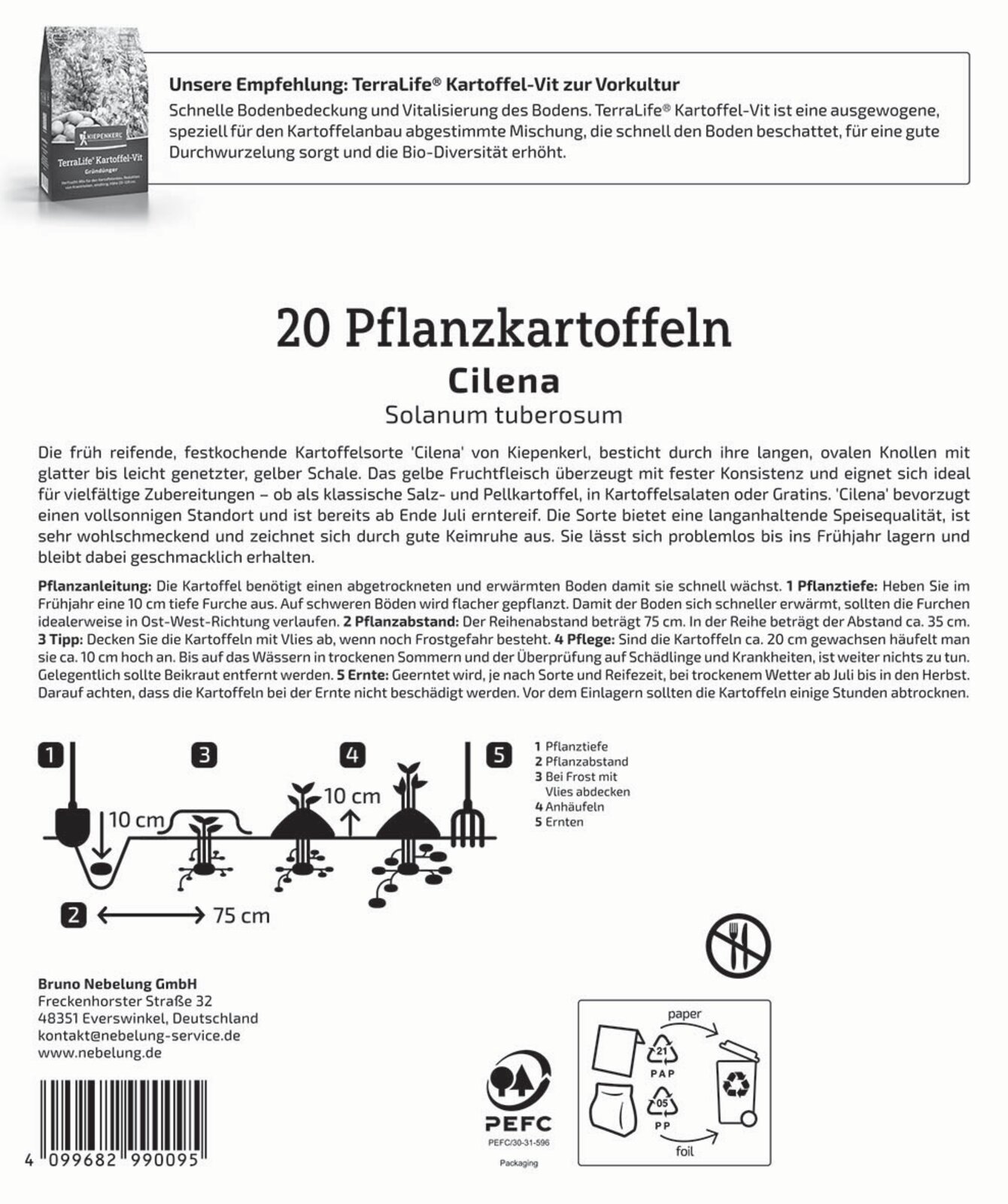 Pflanzkartoffel Cilena - Produktbild 2