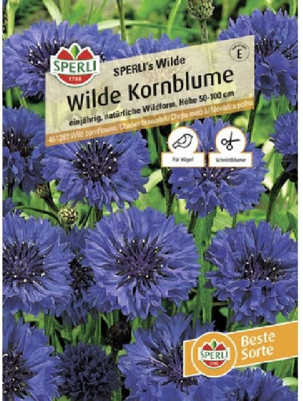 Wildblume Centaurea cyanus, Kornblume