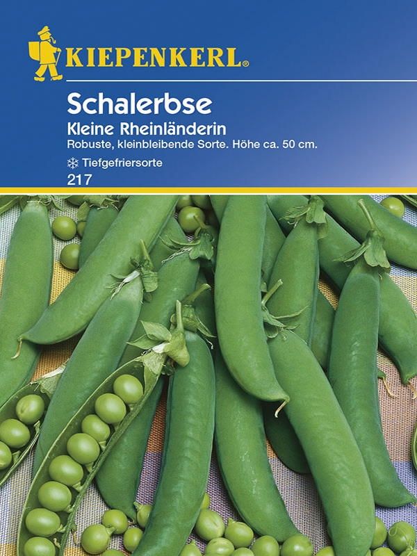 Erbse, Schalerbse Kleine Rheinländerin