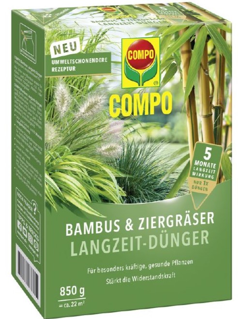 bananenpflanze musa acuminata Zwergbanane - Musa acuminata 'Dwarf Cavendish' (Cavendish-Banane)