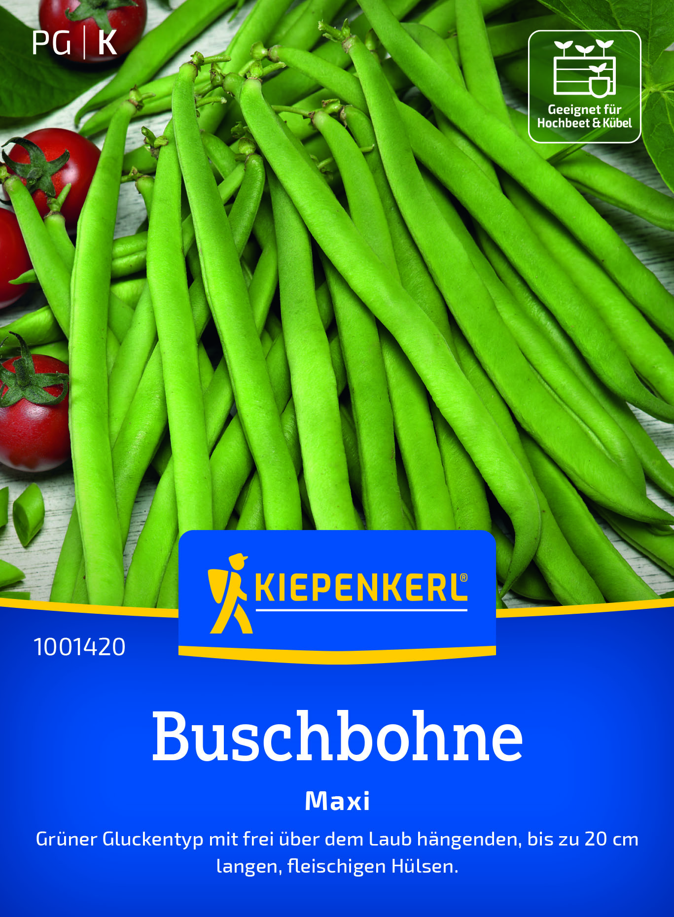 Bohne Busch Maxi