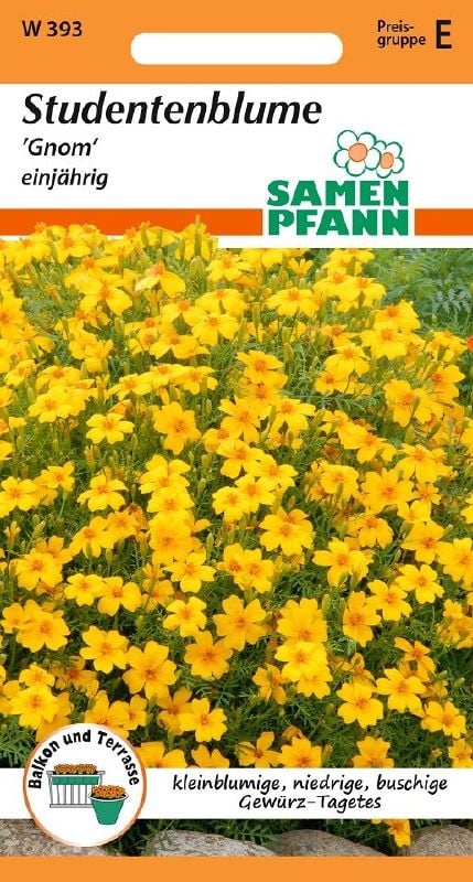 Tagetes tenuifolia Gnom - Produktbild 1