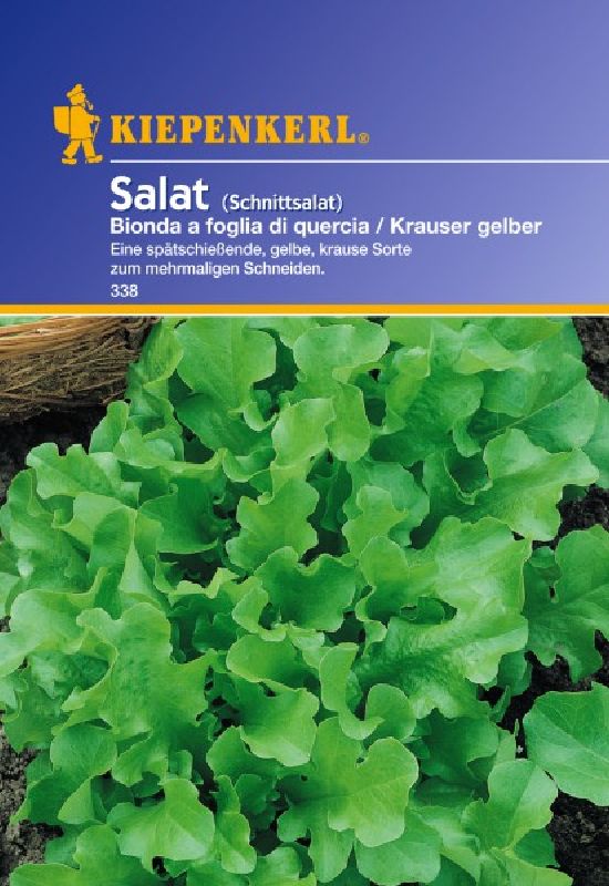 Schnittsalat Krauser gelber