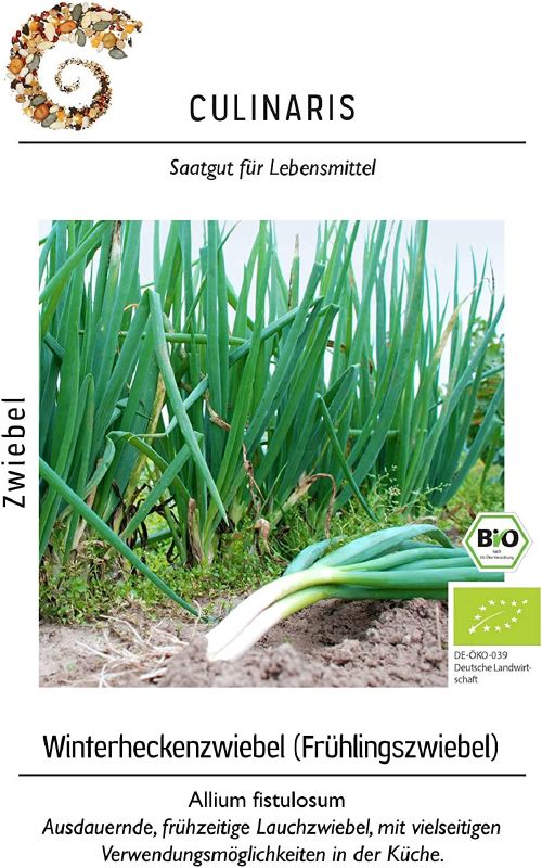 Bio Winterheckenzwiebel Winzwyadne