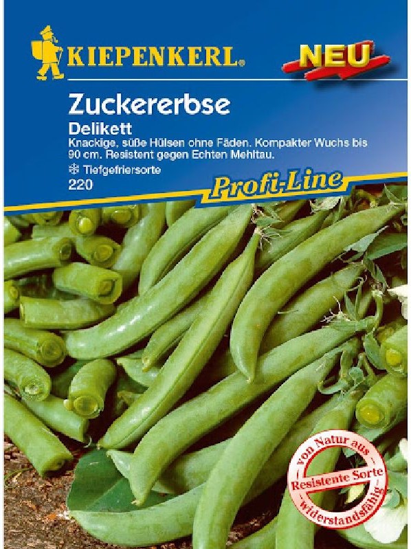 Erbse, Zuckererbse Delikett
