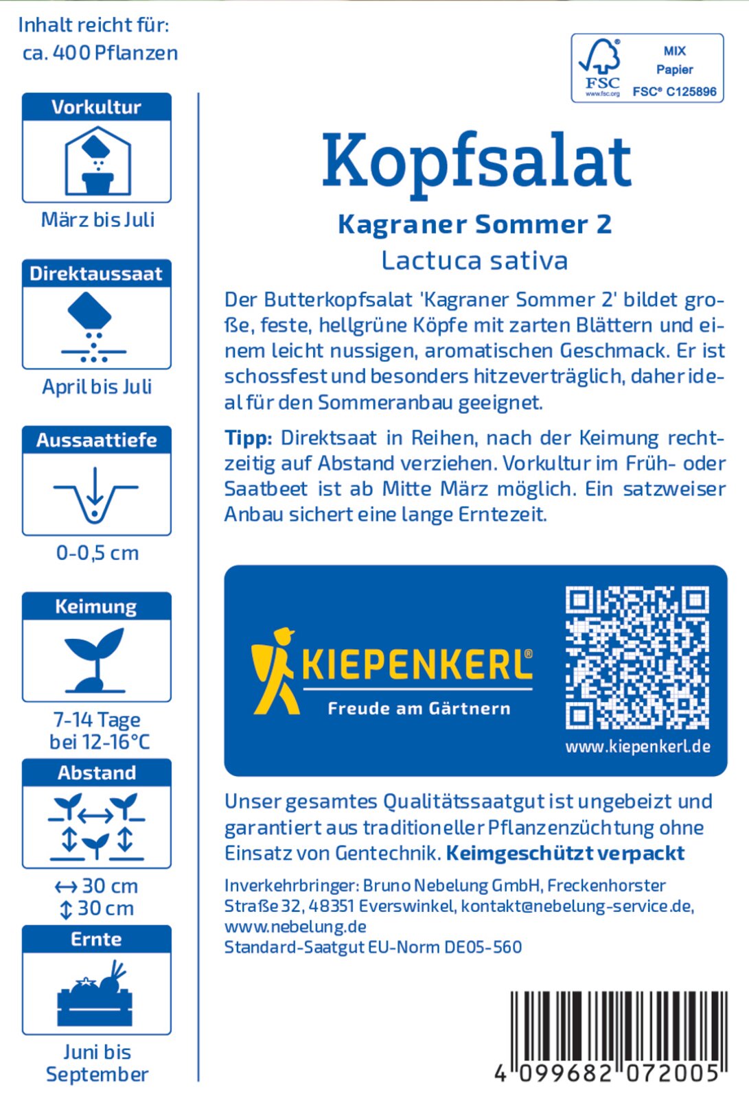 Salat Sommerkopf Kagraner Sommer 2 - Produktbild 2