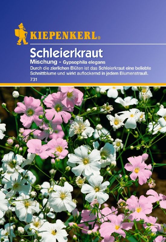 Gypsophila elegans bunte Mix - Produktbild 1