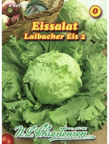Salat Eissalat Laibacher Eis / 3