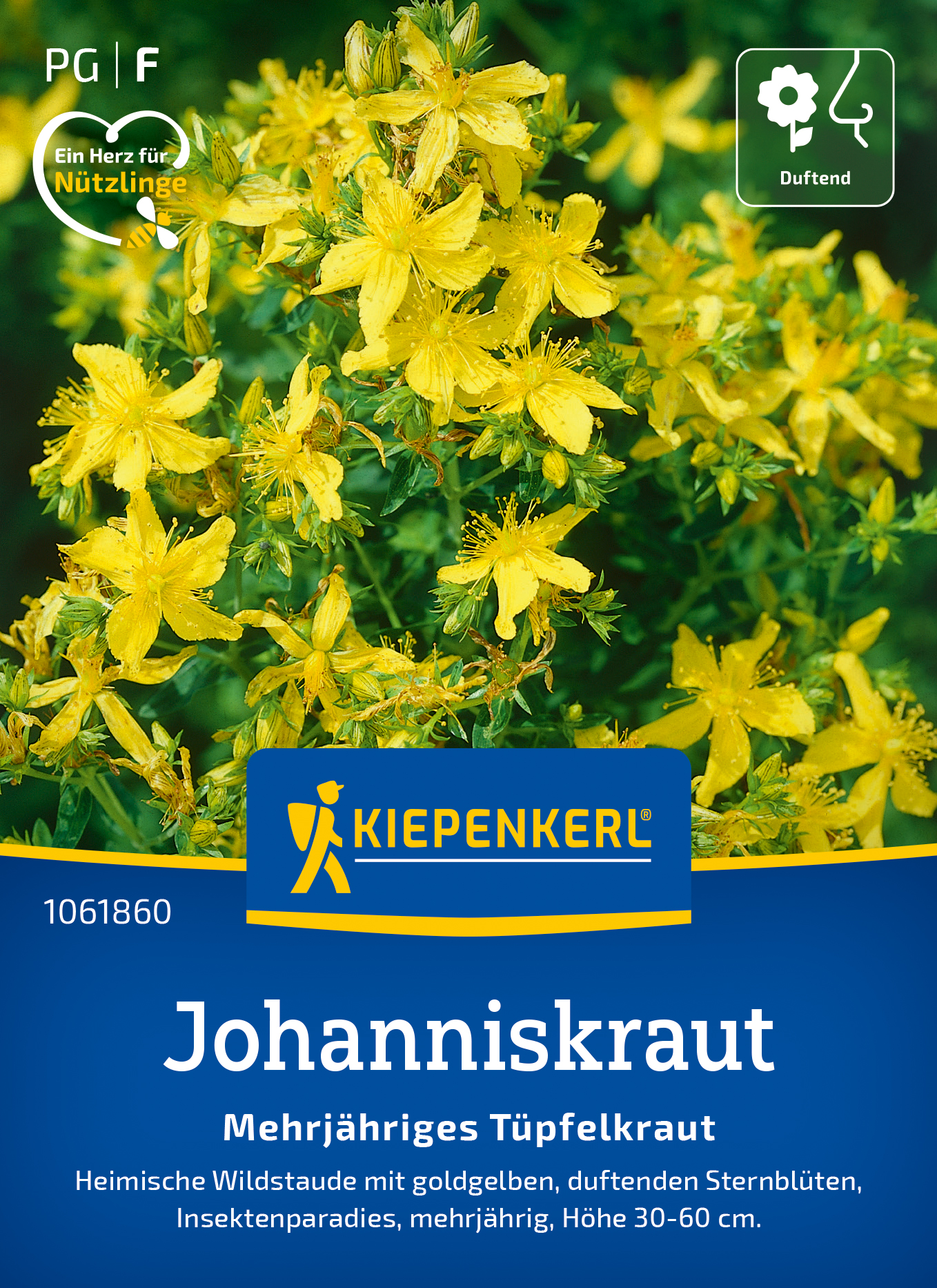 Johanniskraut