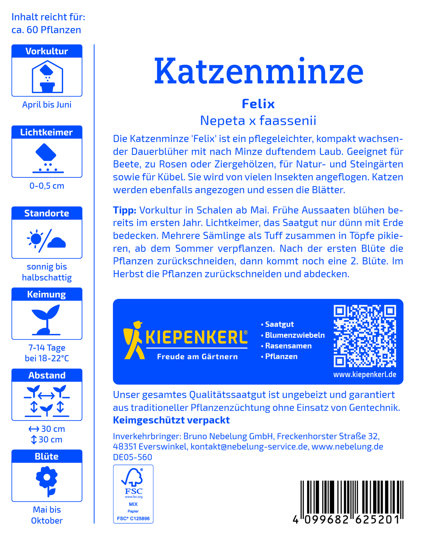 Nepeta faassenii, Katzenminze - Produktbild 2