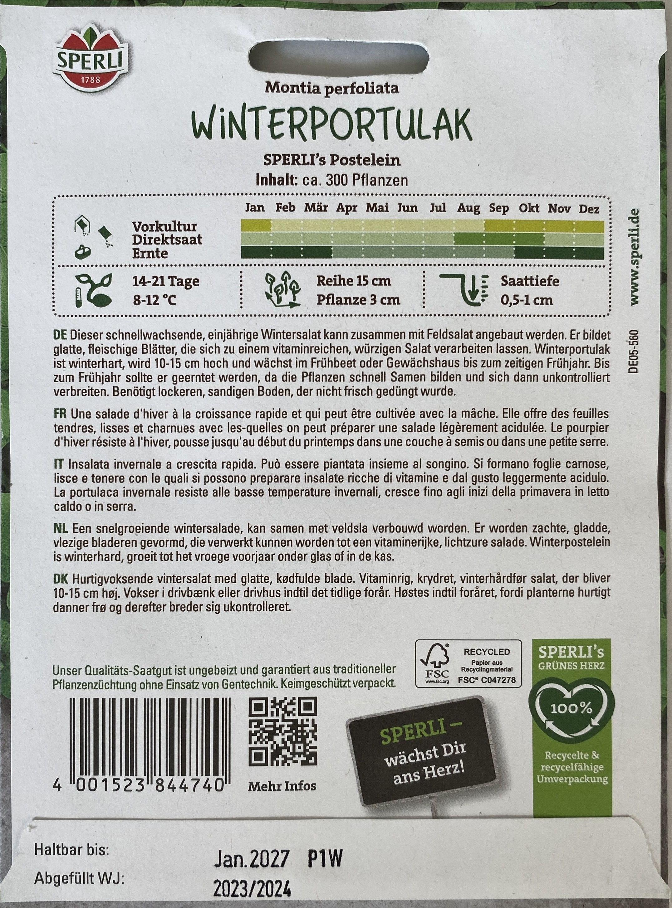 Portulak Winter Postelein - Produktbild 2