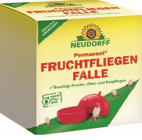 Permanent Fruchtfliegen Falle
