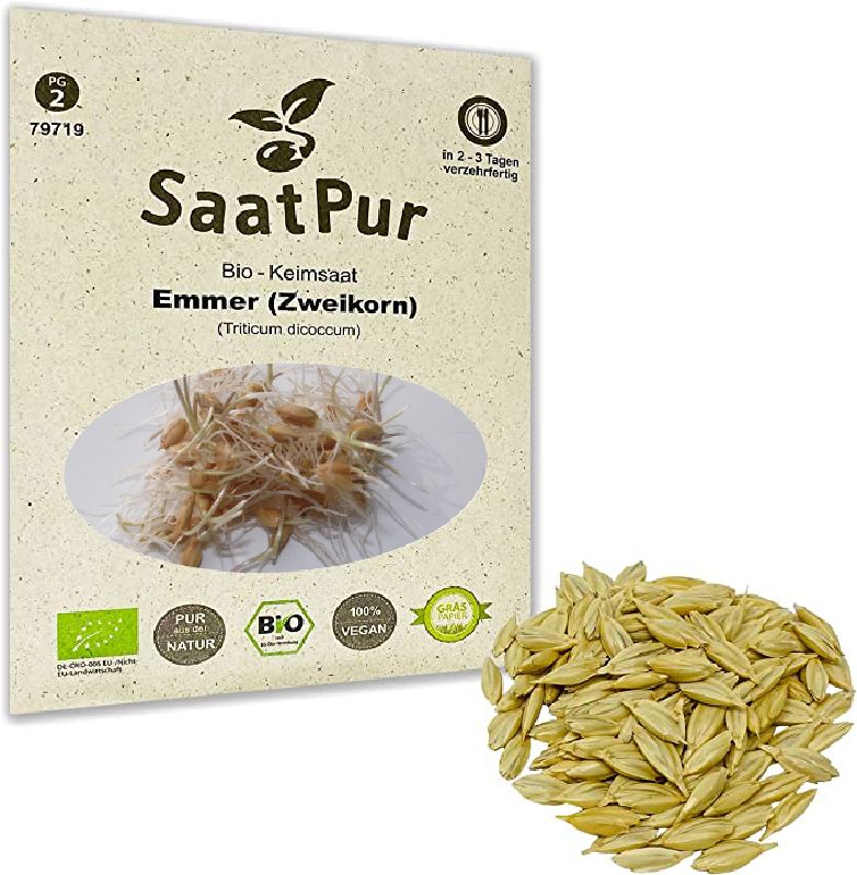 Keimsprossen Emmer / Zweikorn - Produktbild 3